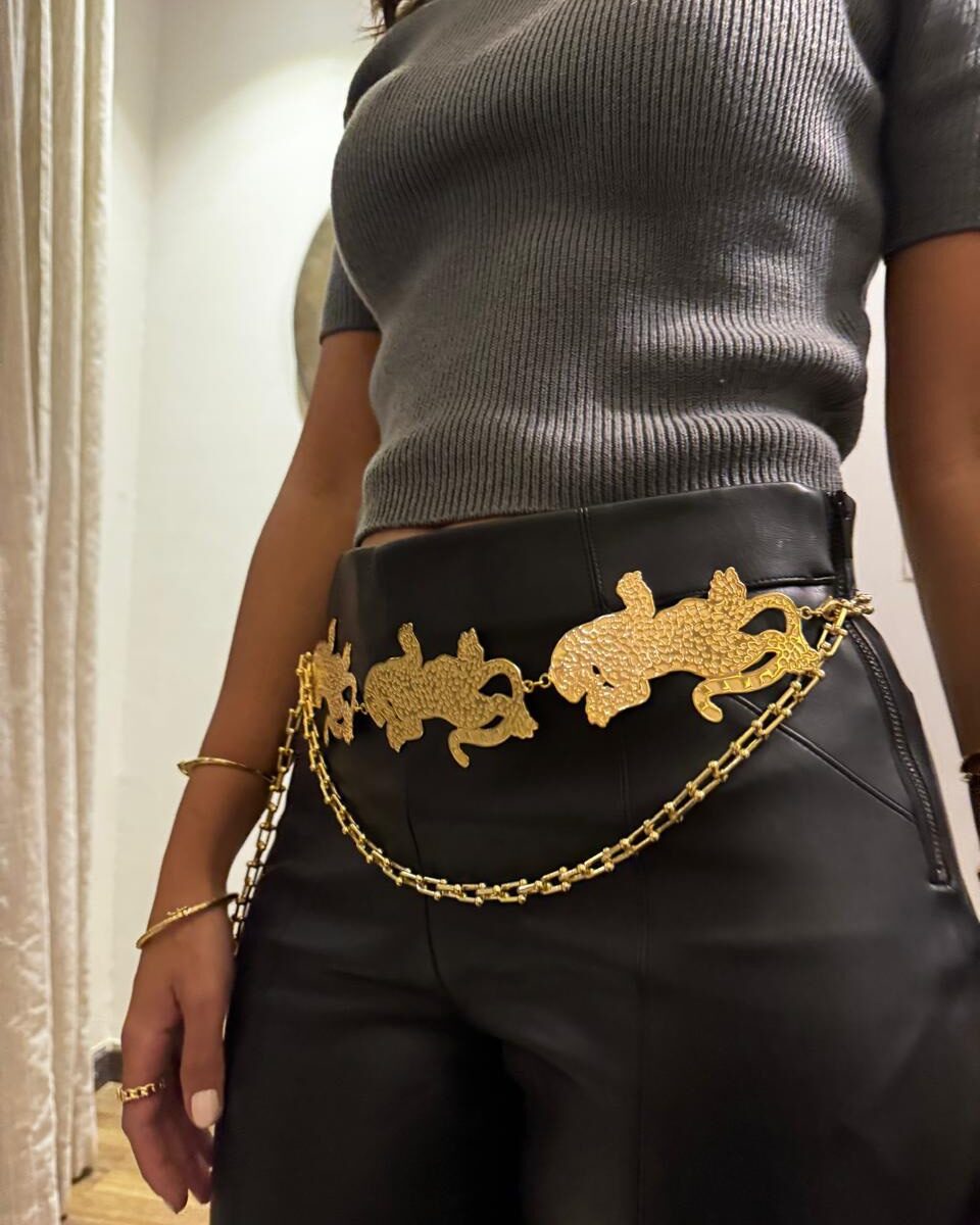 The Tiger - Gold Belt - Image 5