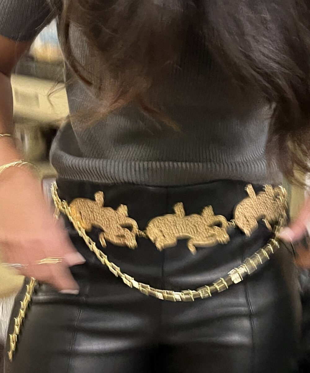The Tiger - Gold Belt - Image 2